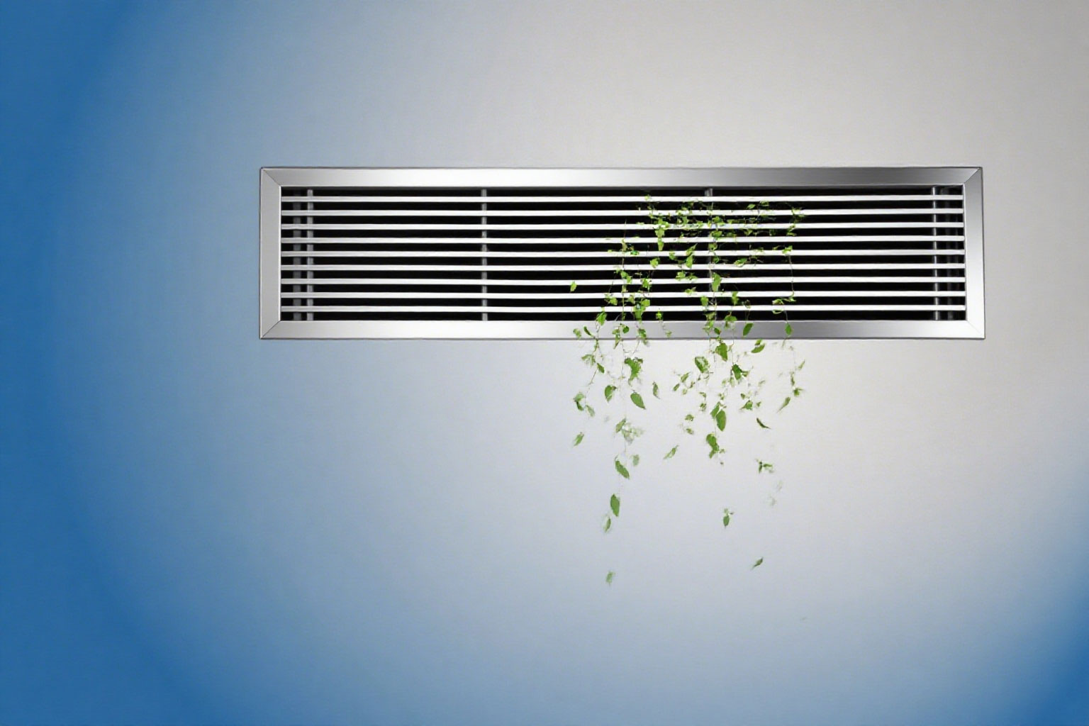 CA88����(�й���) - �ٷ���վ